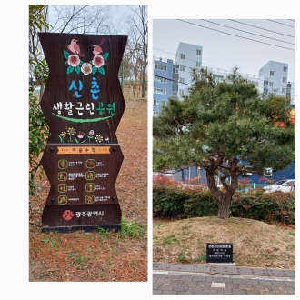 (신흥동)신촌근린공원