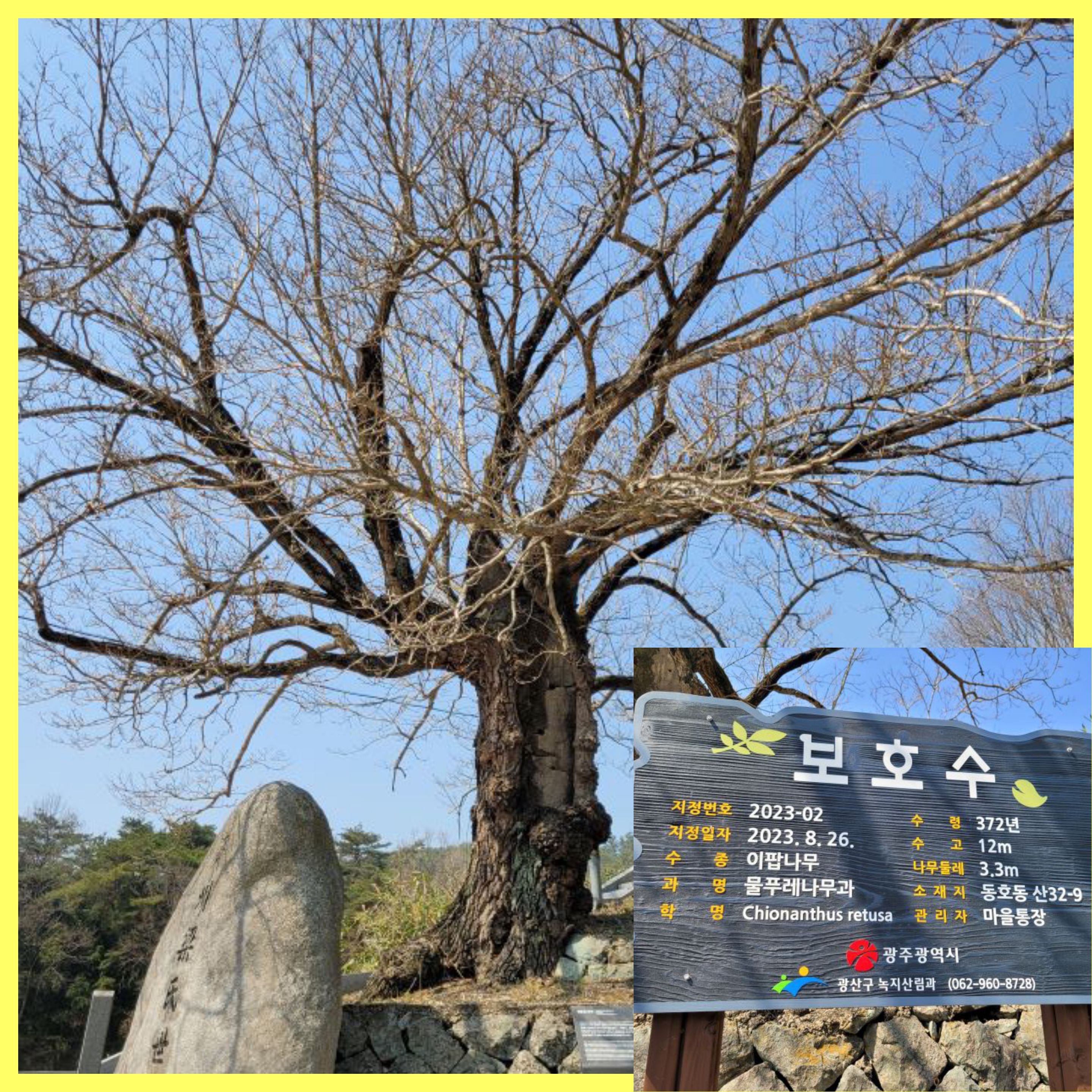 KakaoTalk_20250424_230148497_01.jpg